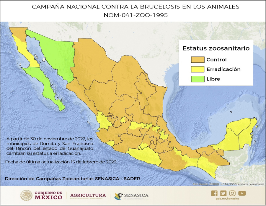 Brucelosis en los animales