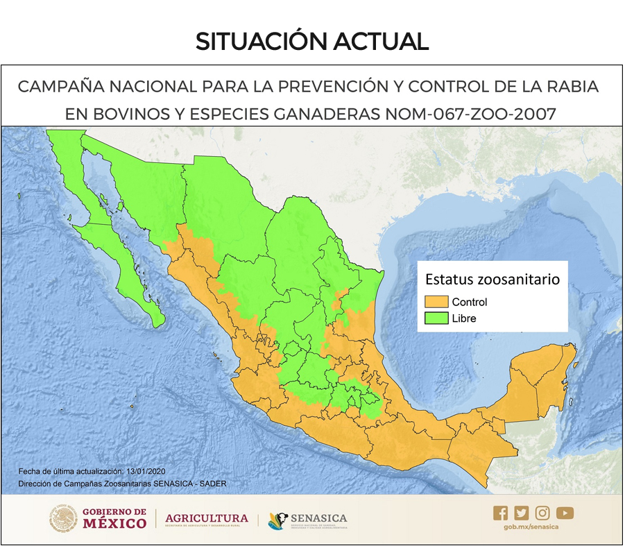 Rabia paralítica bovina