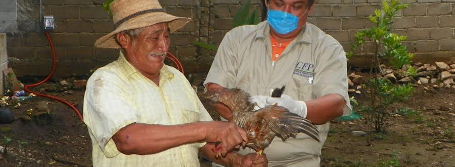 Vigilancia epidemiológica