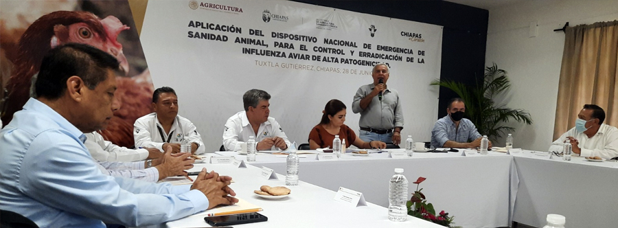 Vigilancia epidemiológica