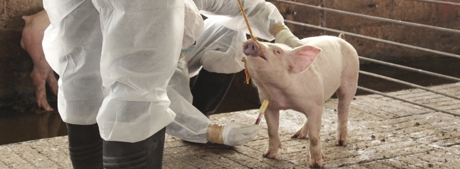 Vigilancia Epidemiológica