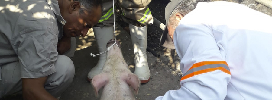 Vigilancia Epidemiológica
