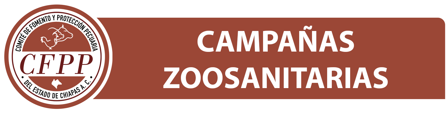Campañas
