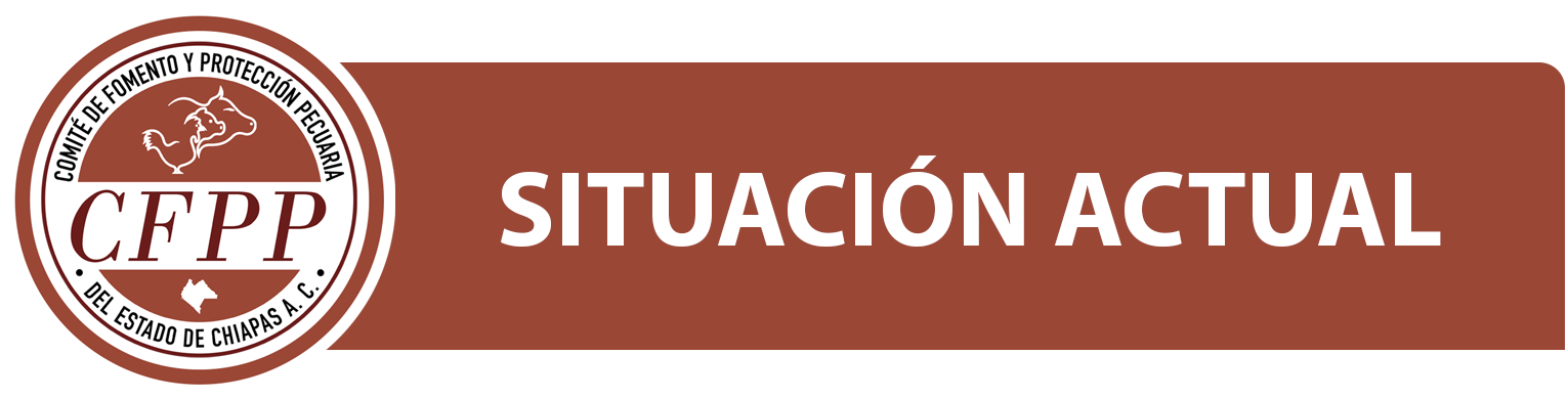 Situación geográfica