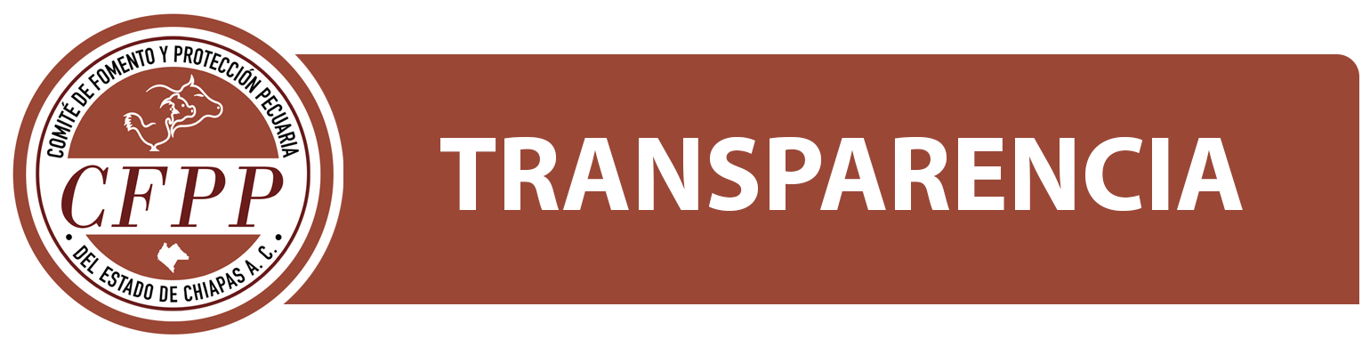 Transparencia