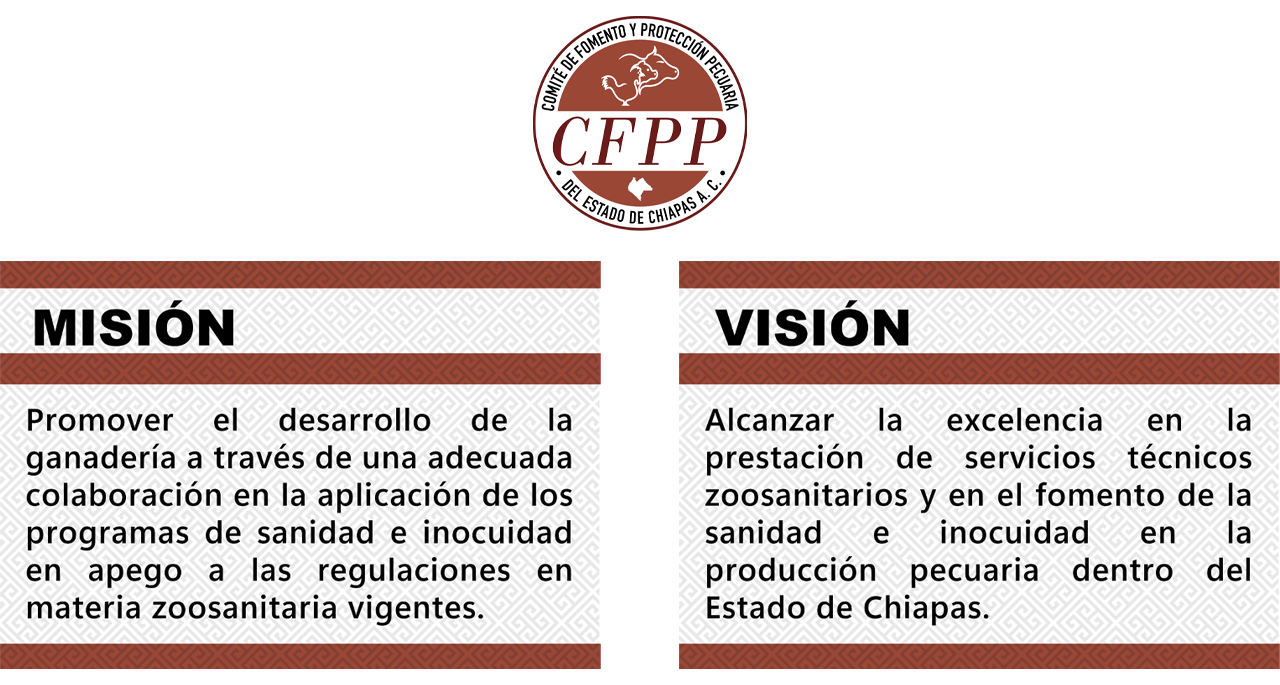 Misión y Visión