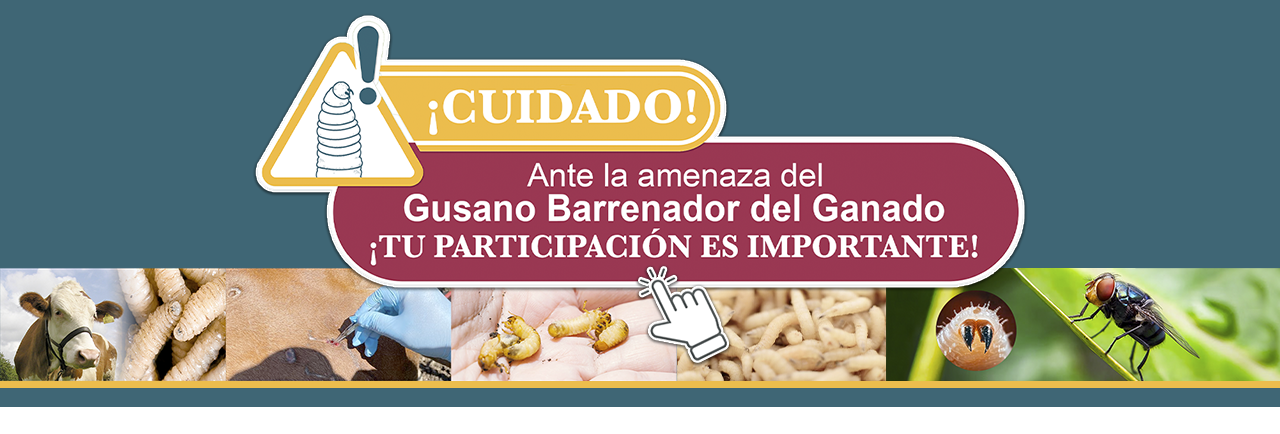 Sitio GBG