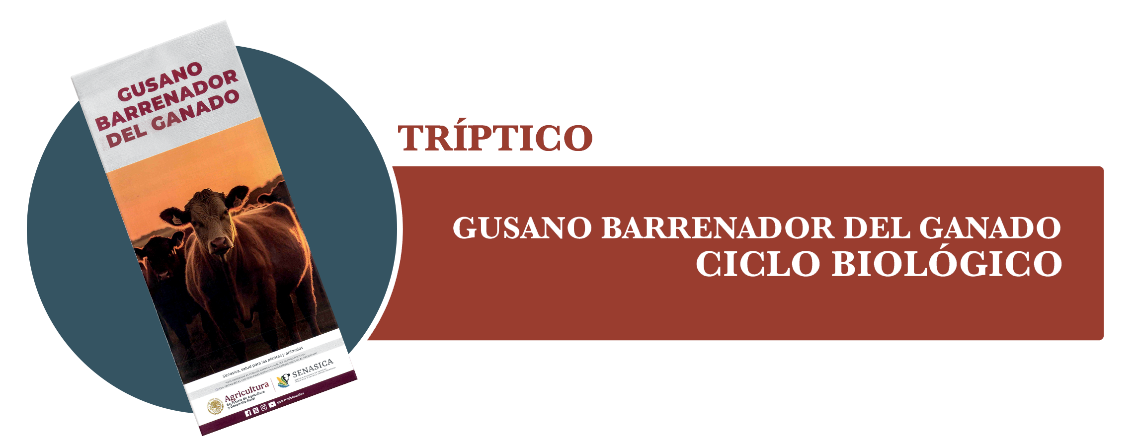 Tríptico Ciclo del GBG