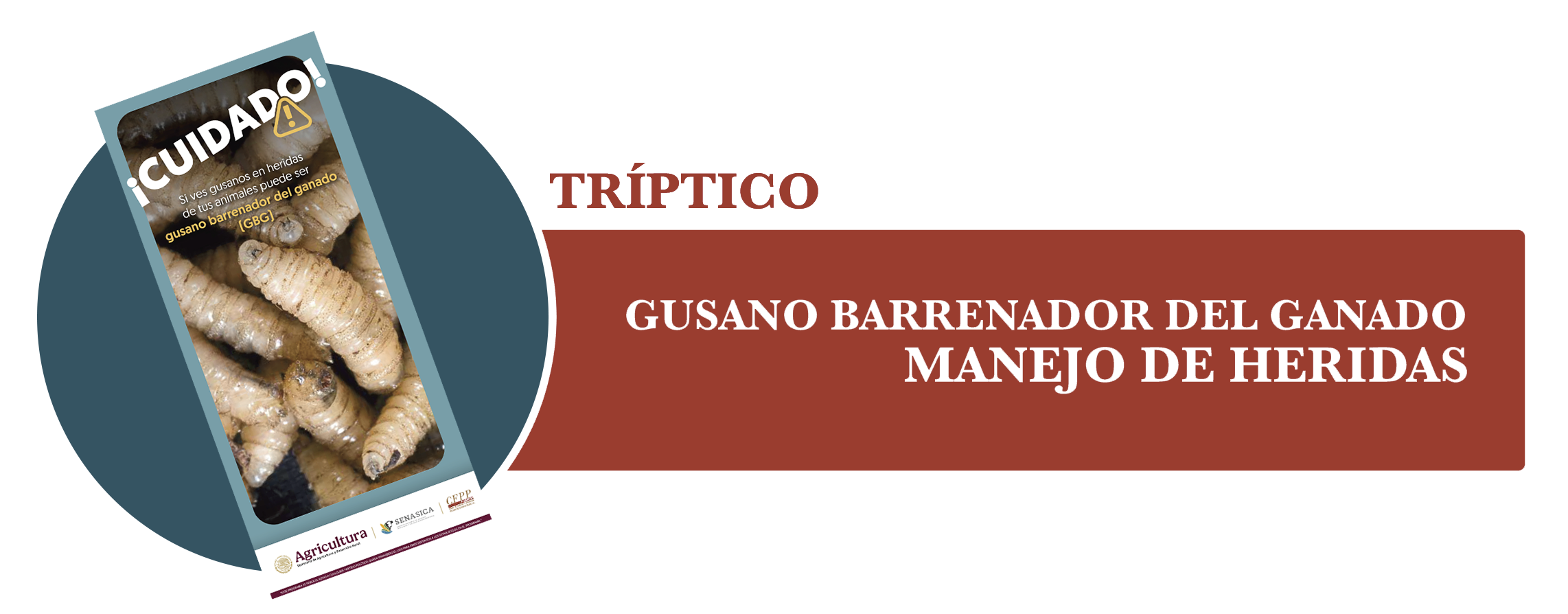 Tríptico Manejo de Heridas GBG