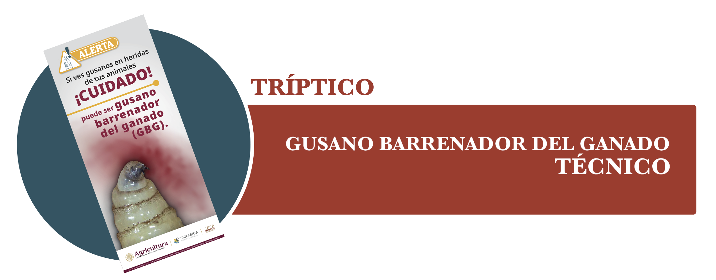 Tríptico Técnico GBG