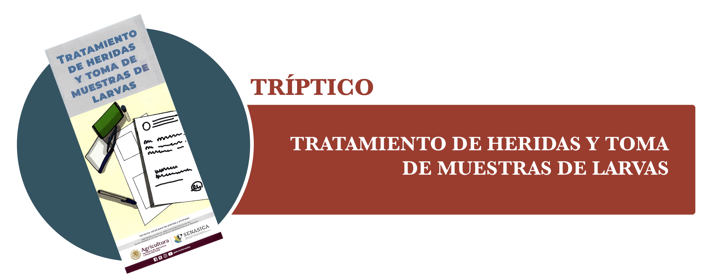 Tríptico Toma de Muestras y Tratamiento