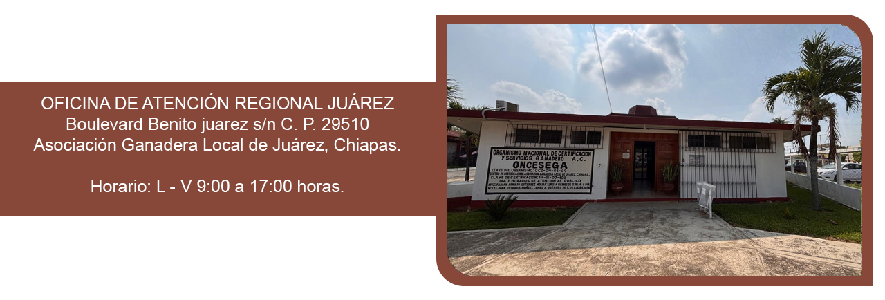 OAR Juárez