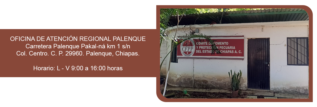 OAR Palenque