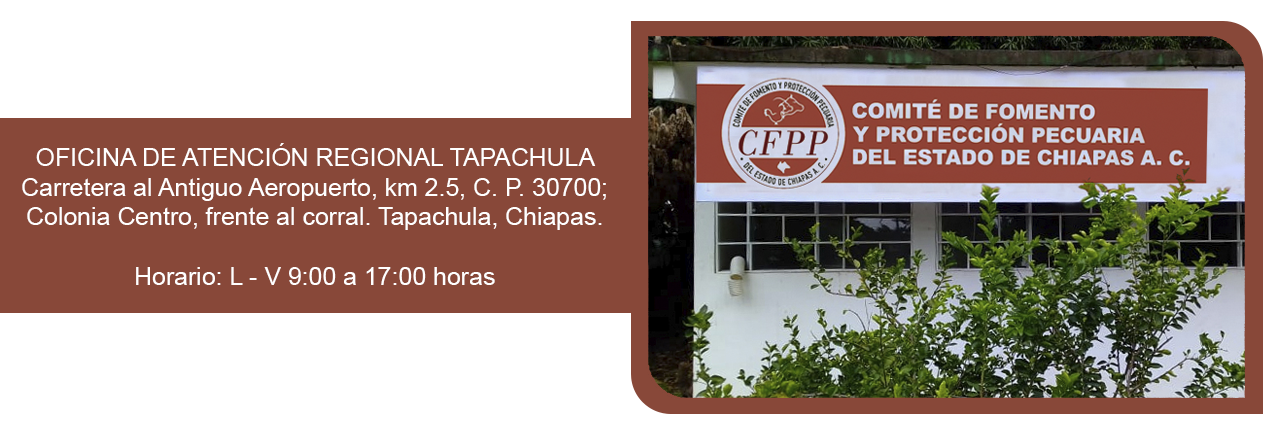 OAR Tapachula