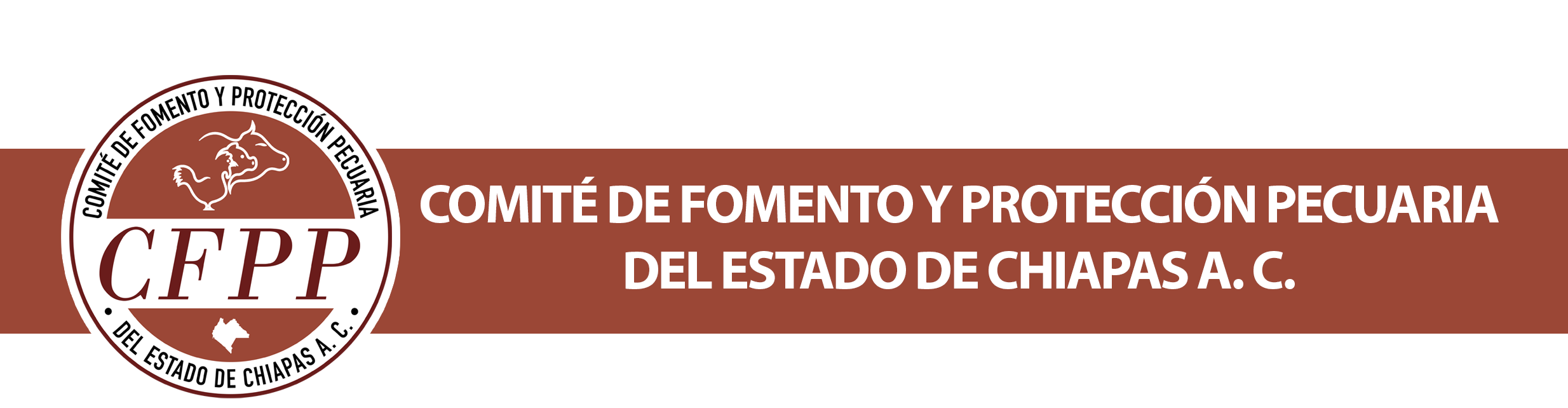Banner CFPP Chiapas